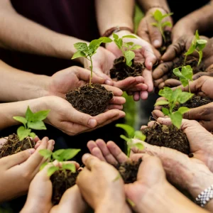 Sensibilización medioambiental